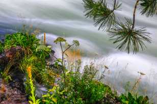 Deschutes River-1426 Deschutes River-1426